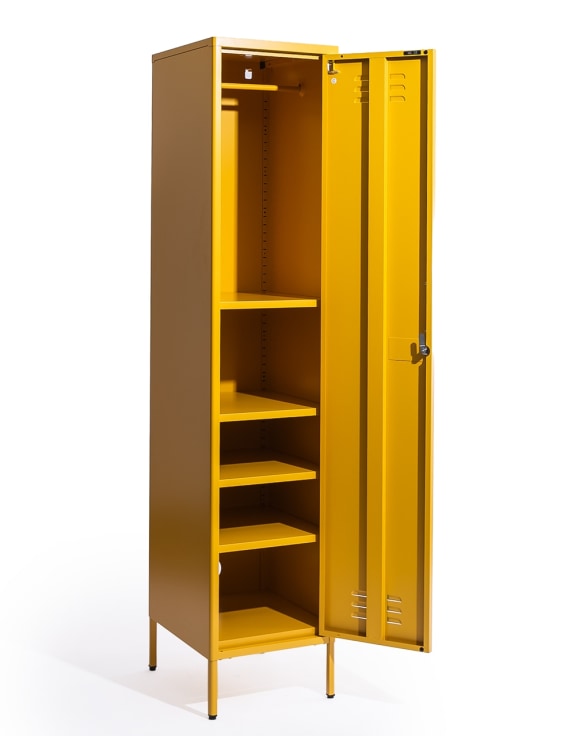 Tall Steel Locker in Painted Colours