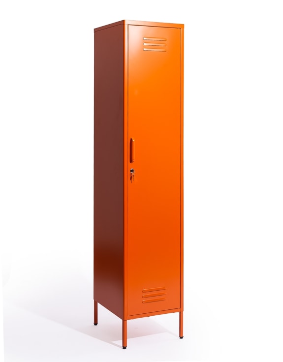 Tall Steel Locker in Painted Colours