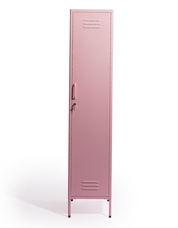 Tall Steel Locker in Painted Colours