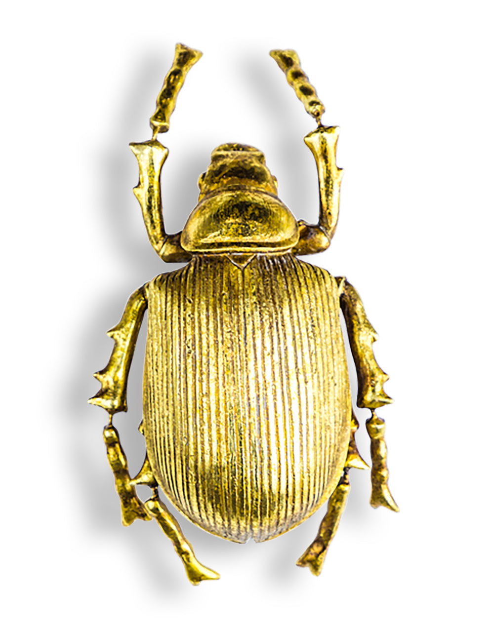 Large Gold Beetle Wall Decor