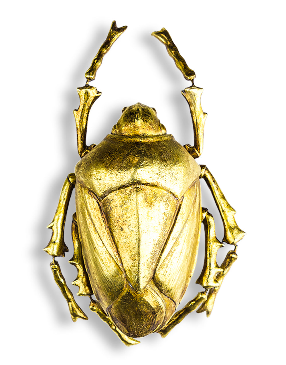 Large Gold Beetle Wall Decor