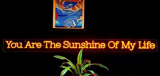 LED Neon Wall Sign- You Are The Sunshine Of My life