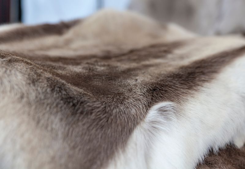 Our Reindeer Rugs are natural and organic and come in a range of sizes and shades. Please contact us for available colours. Prices from £169.00