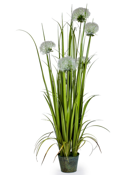 Ornamental Grasses in Galvanised Pot - Style 3
