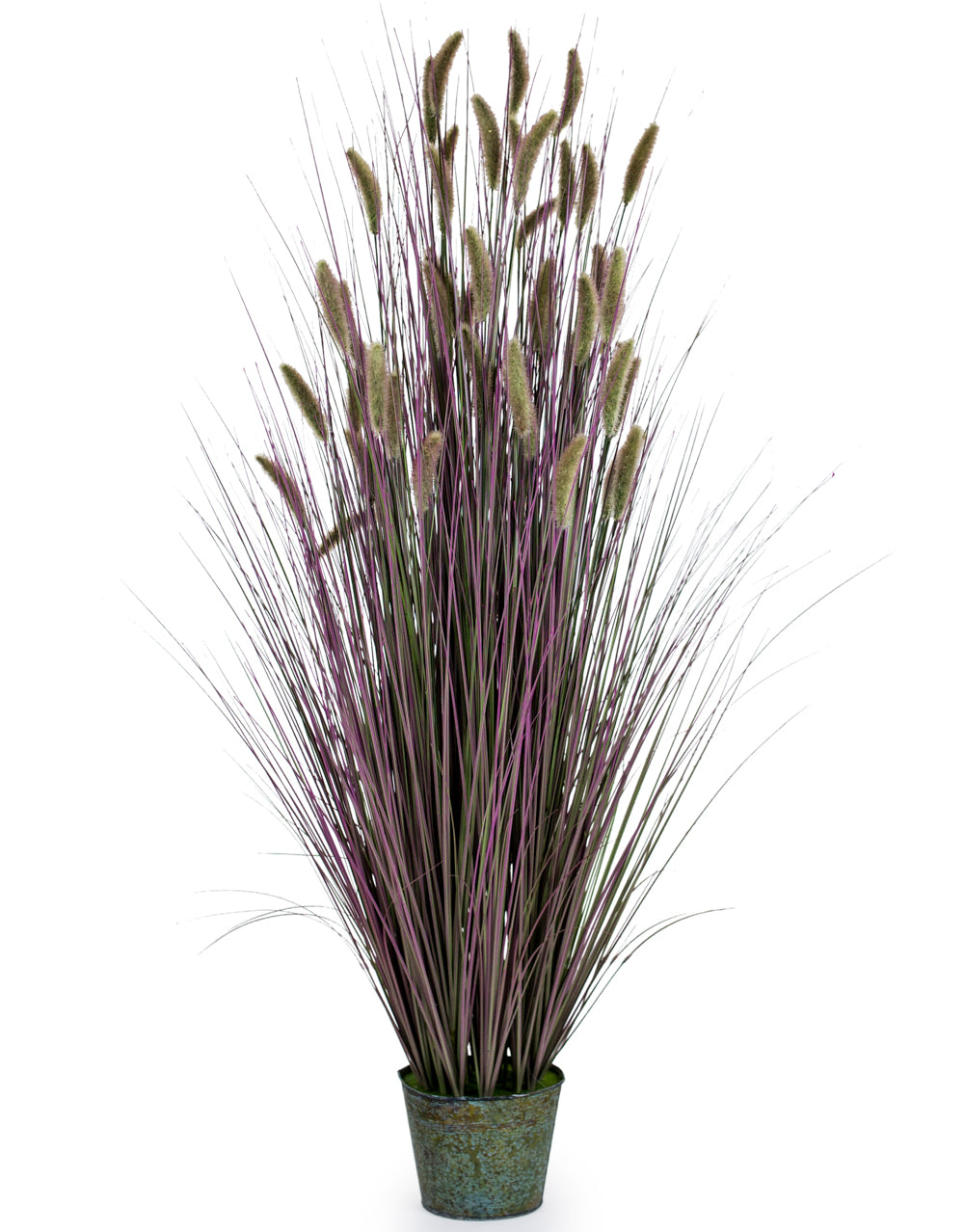 Ornamental Grasses in Galvanised Pot - Style 6