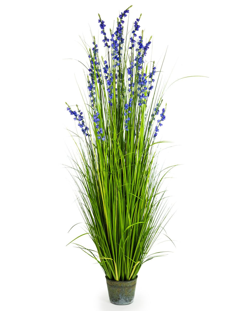 Ornamental Grasses in Galvanised Pot - Style 8