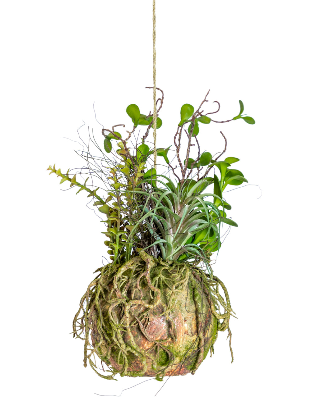 Ornamental Hanging Moss Ball with Succulent Plants