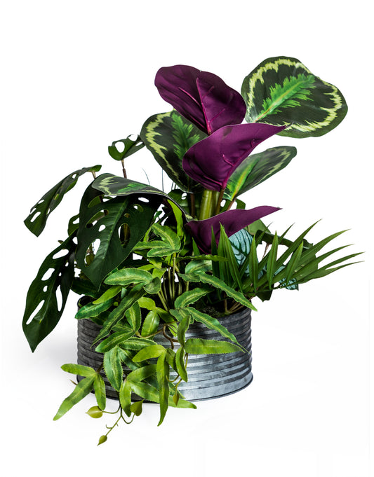 Ornamental Tropical Plant Arrangement in Tin Pot