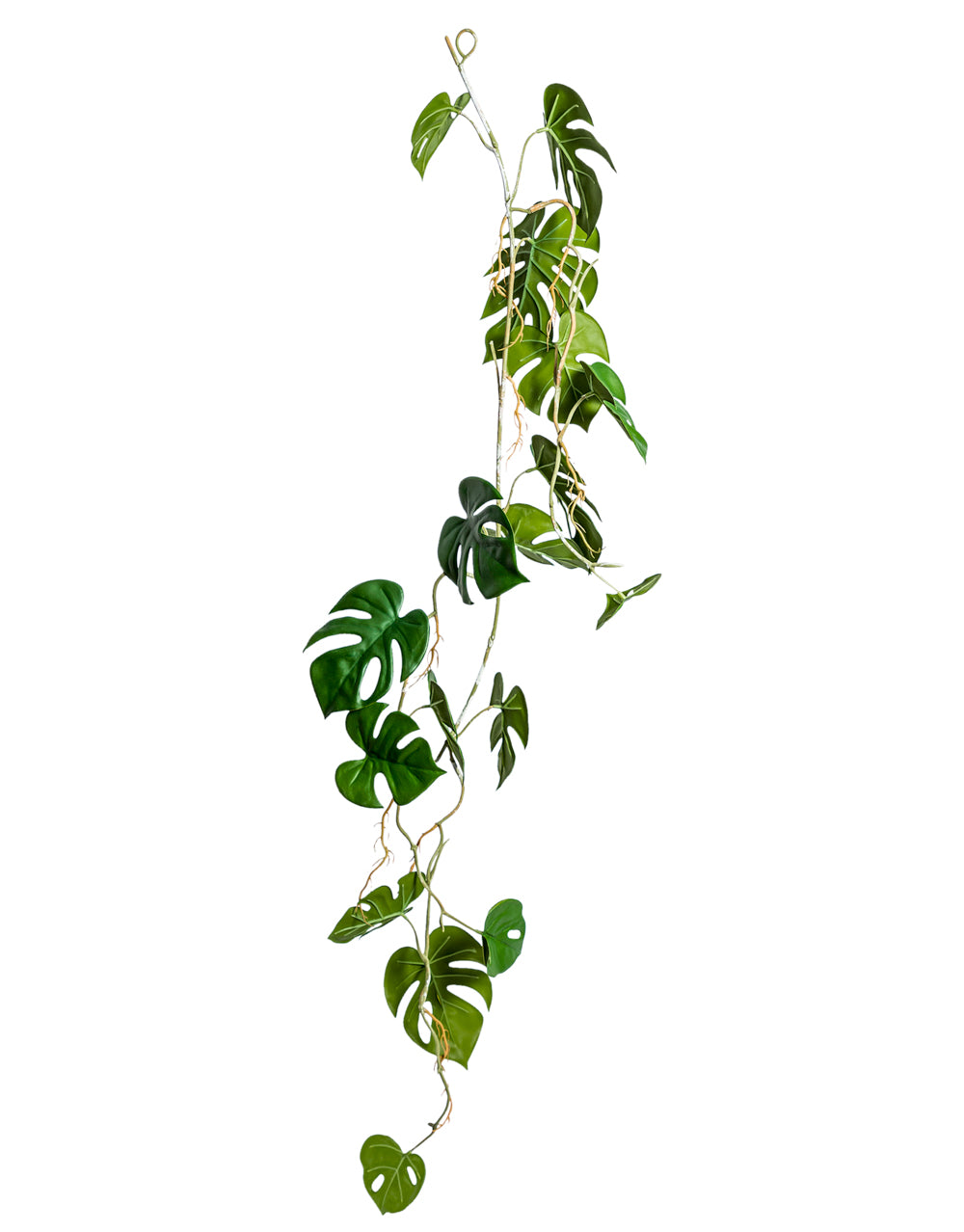 Ornamental Hanging Monstera Leaf Vine