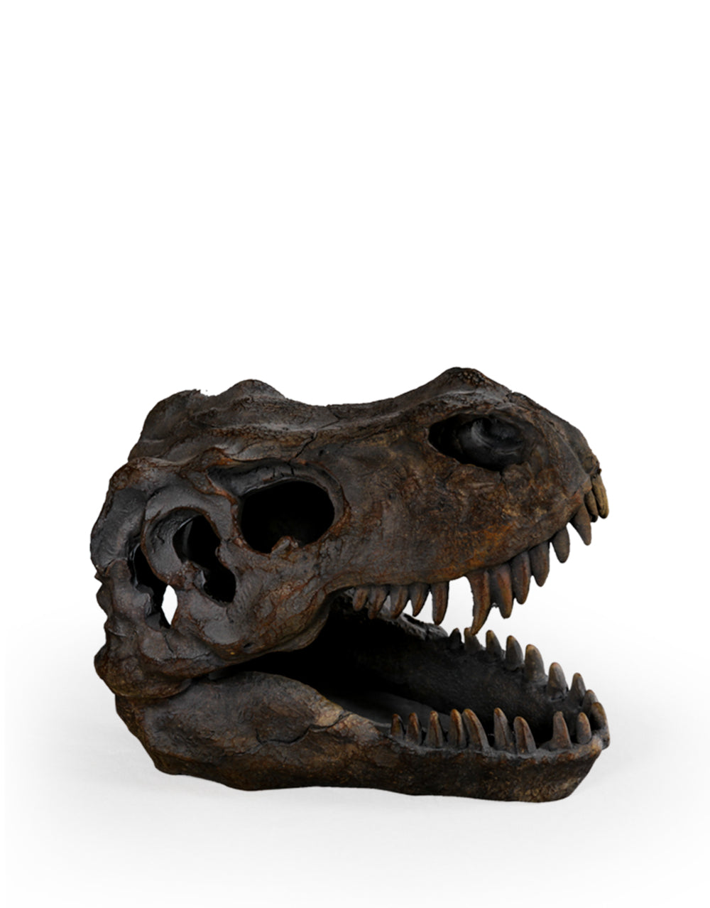 T-Rex Skull Table Decor small