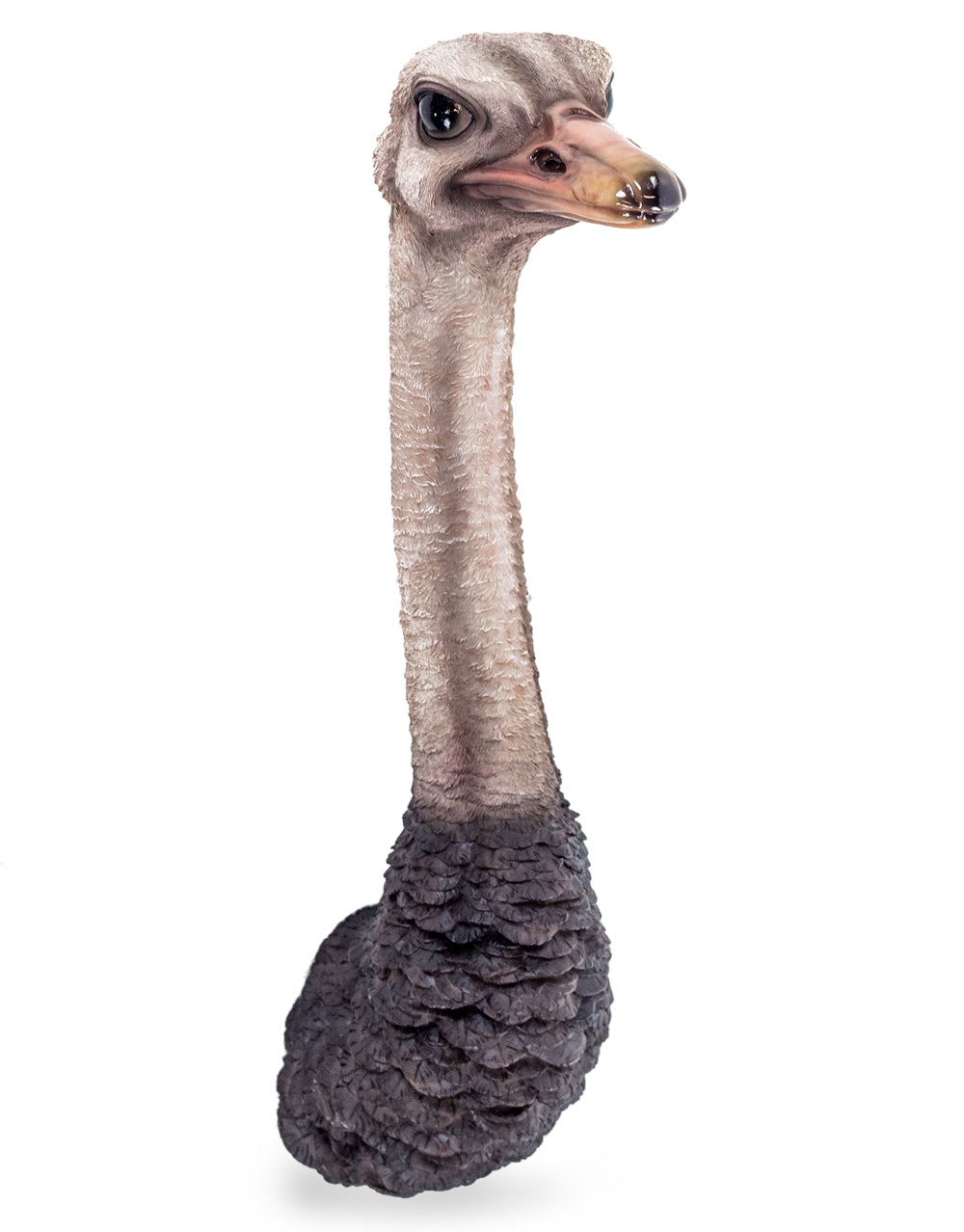 Ostrich Head Wall Figure