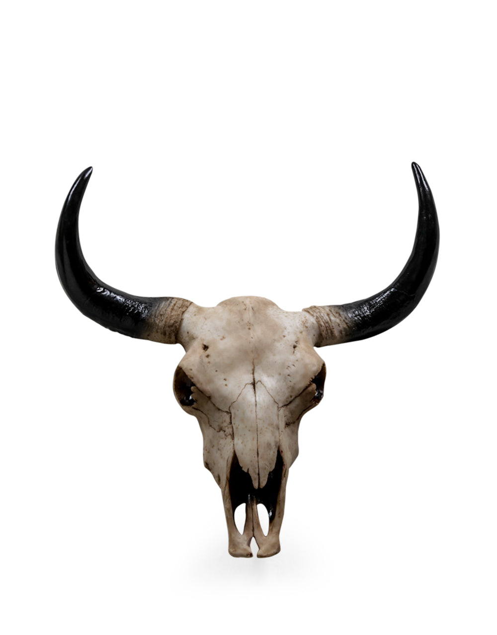 Large Bison Skull Wall Head