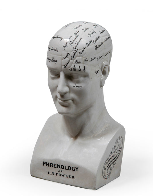 Large Antiqued Ceramic Phrenology Head