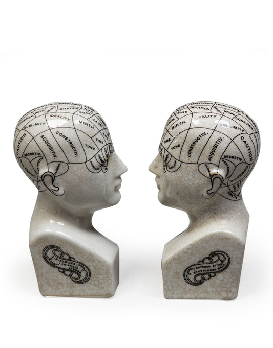 Antiqued Ceramic Phrenology Head Bookends/ Ornaments