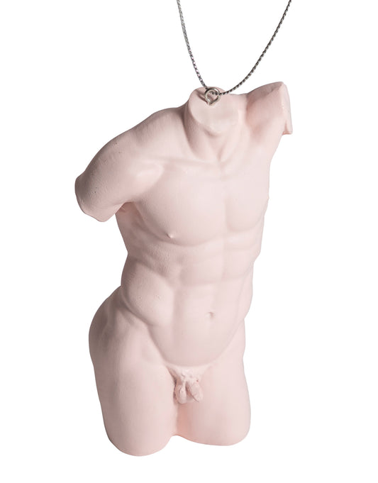 Pink male torso