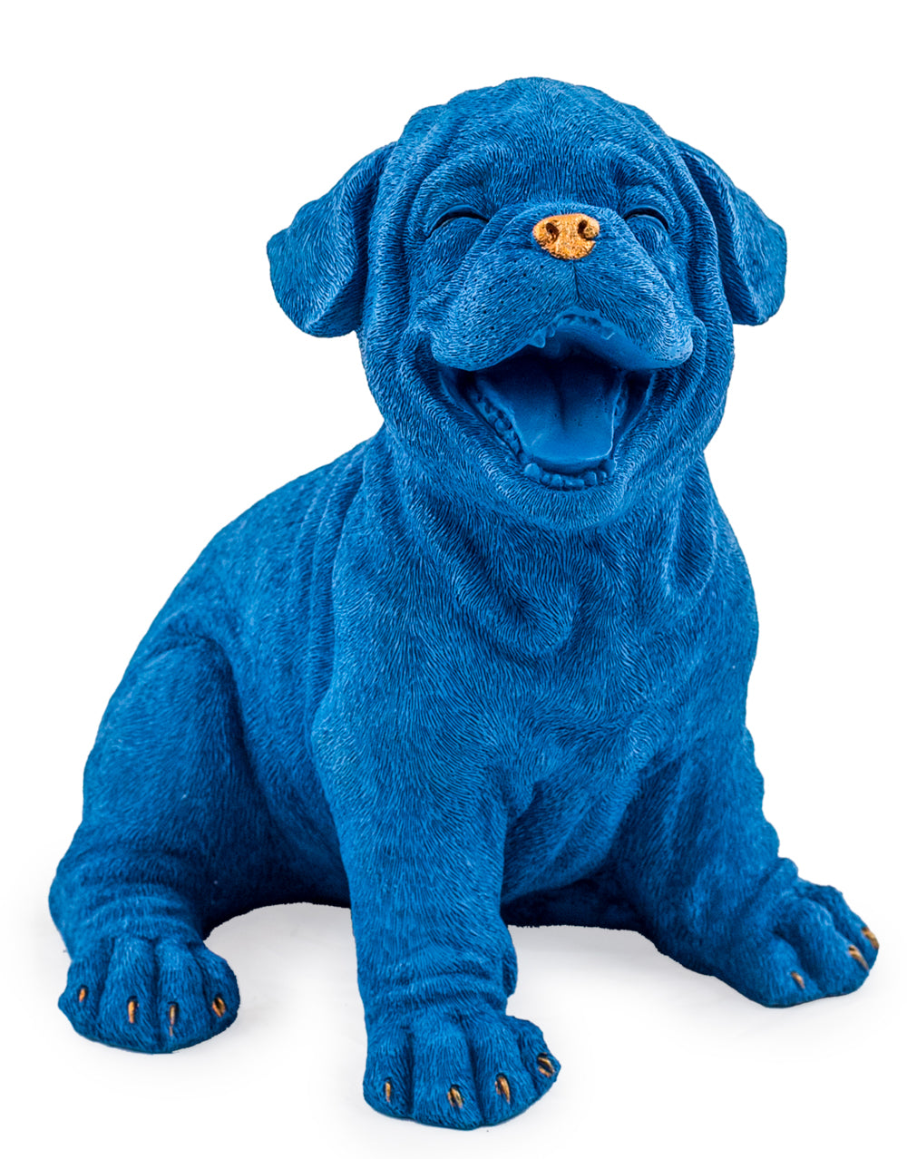 Royal Blue with Gold Details Laughing Puppy
