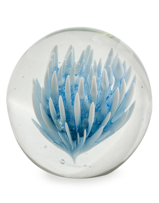 Large Blue & White Flower Glass Ball Paperweight with Gift Box
