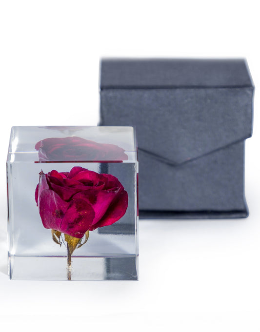 Square Acrylic Glass Real Rose Paperweight with Gift Box