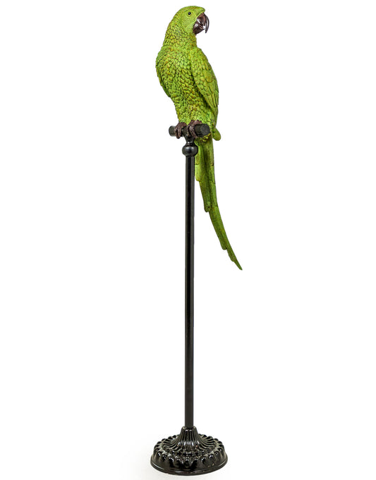 Large Green Parrot on Floor Standing Perch